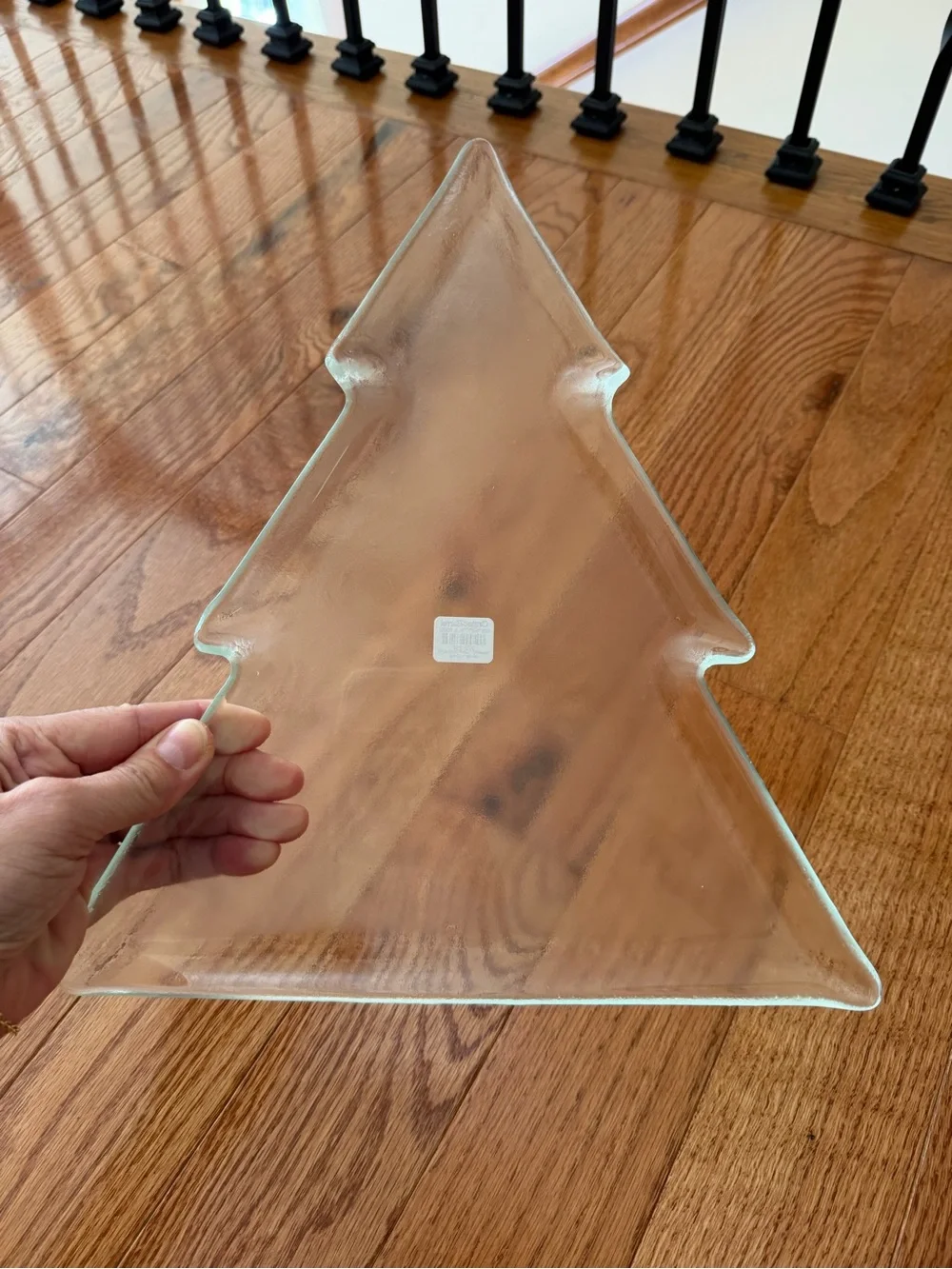 NWT Crate & Barrel HAMMRD GLASS TREE PLTR